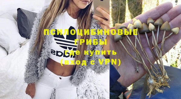 метамфетамин Алексин
