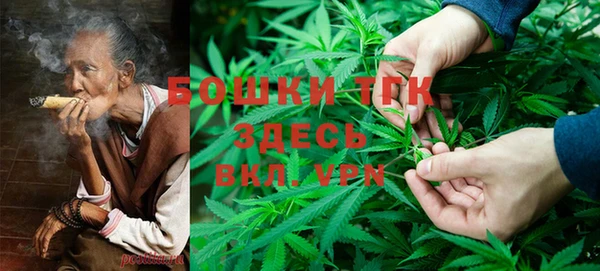 гидра Алексеевка