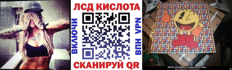 даркнет сайт  мориарти как зайти  Марки N-bome 1500мкг  Жуковка 