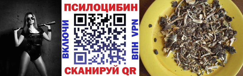 Галлюциногенные грибы Magic Shrooms  купить закладку  Жуковка 